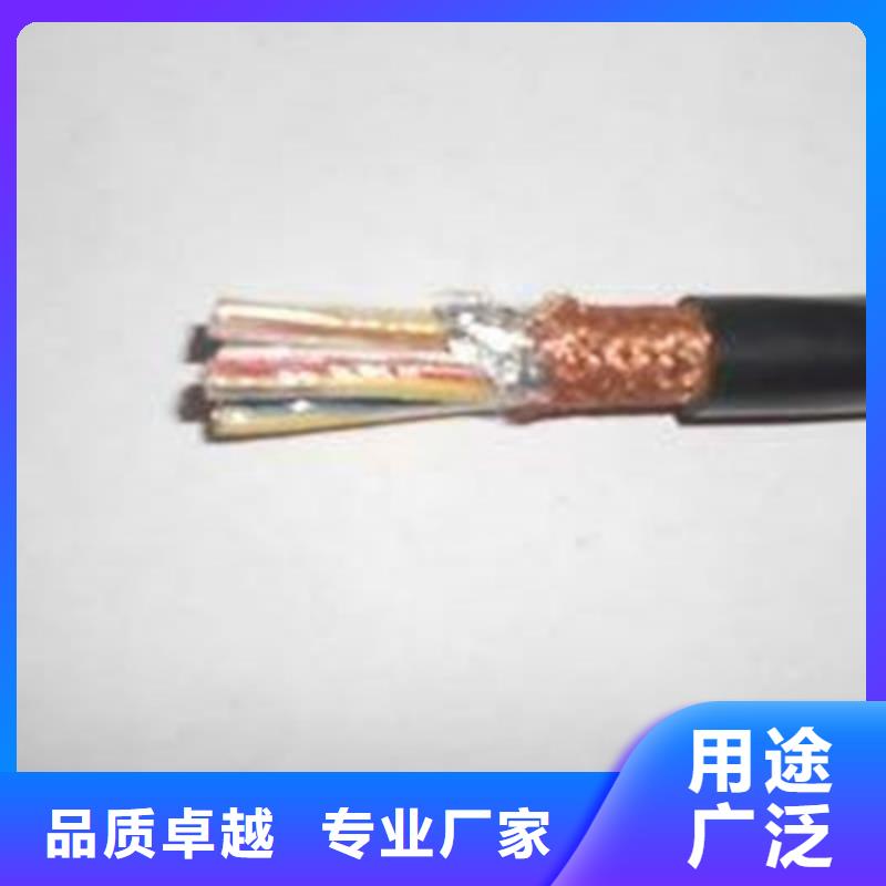 DJFP2FR计算机电缆耐高温30X2X2.5