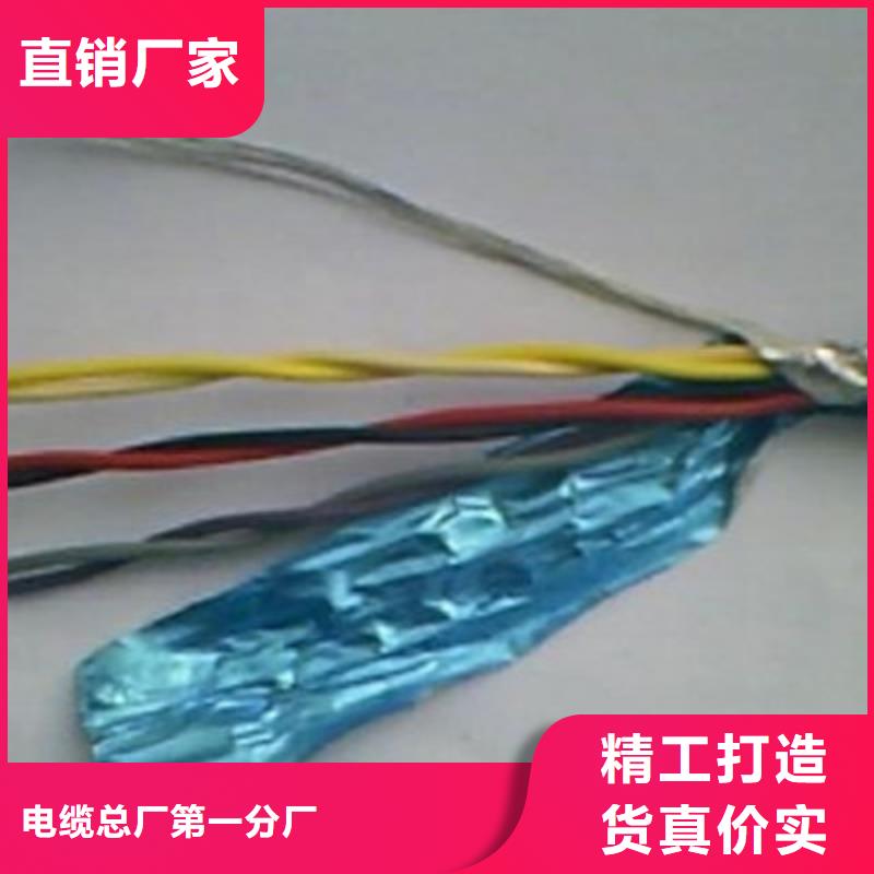 DJFPVP耐高温计算机电缆1X2X0.75