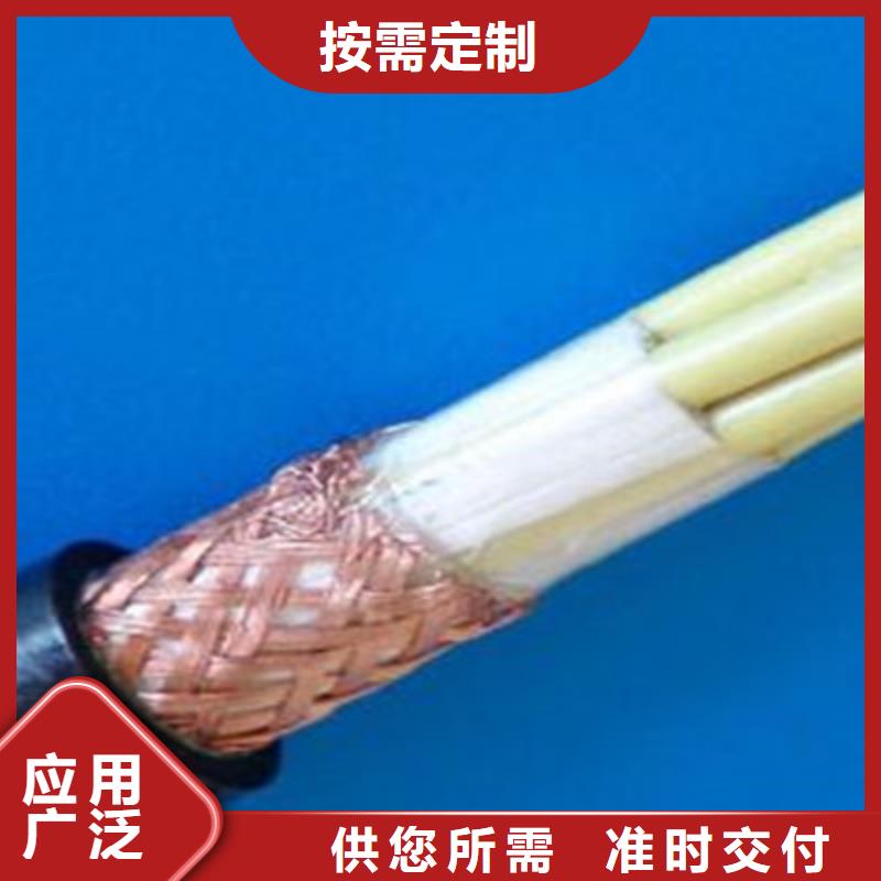 耐高温计算机电缆DJFFP2口碑好