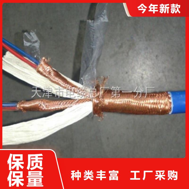 计算机耐高温电缆DJFVP直供厂家