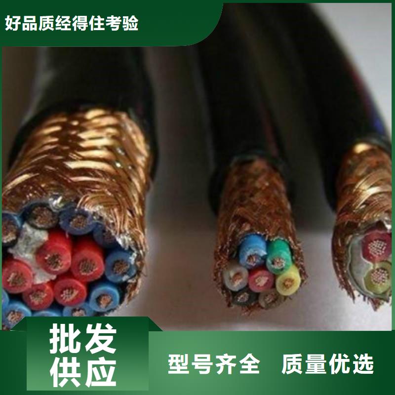 耐高温计算机电缆DJFFP2口碑好