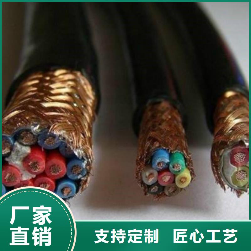 耐高温DJFFP2计算机线缆实力老厂