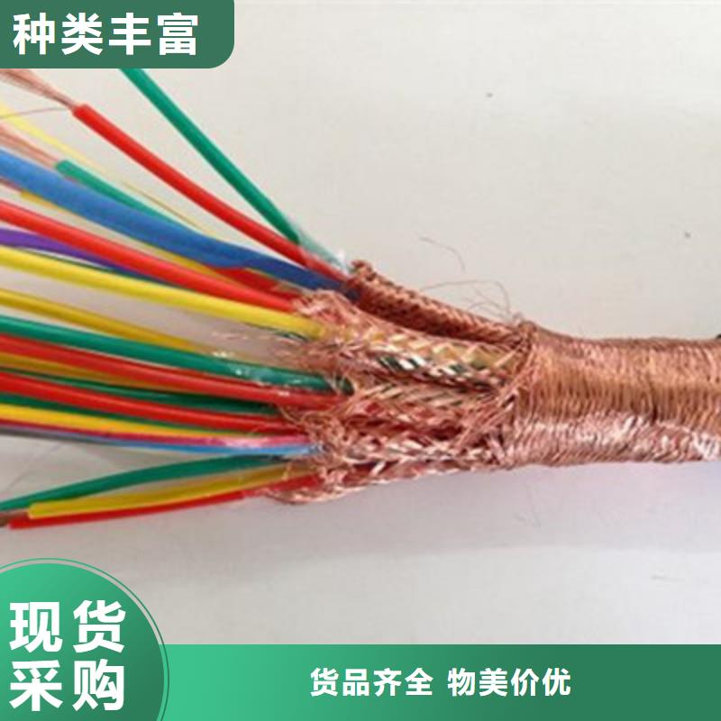 DJFP2FR计算机电缆耐高温30X2X2.5