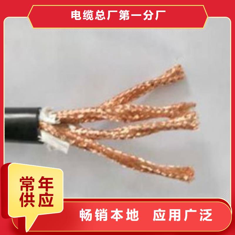 ZR192-KFVP耐高温屏蔽线缆30X2.5