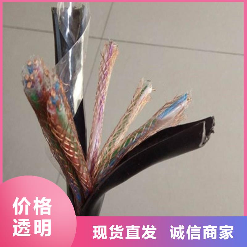 耐高温计算机电缆DJFPF来样定制