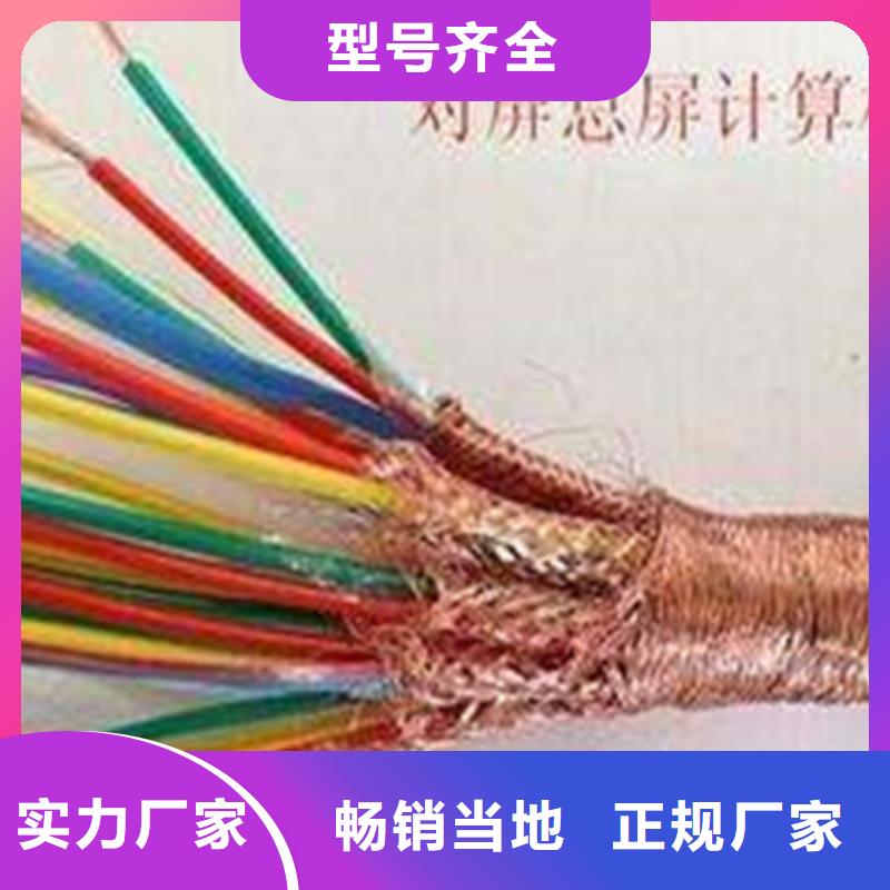 耐高温计算机电缆DJFFP2口碑好