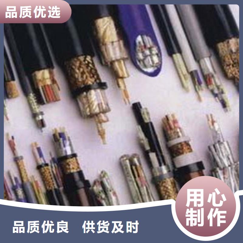 DJFVFP2高温电线源头好货