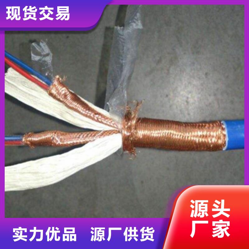 耐高温DJFFP2计算机线缆实力老厂