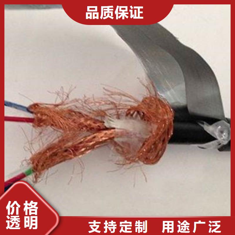 耐高温DJFFP2计算机线缆实力老厂