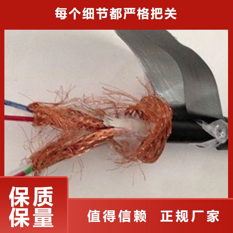耐高温控制电缆KFP1F-200承诺守信