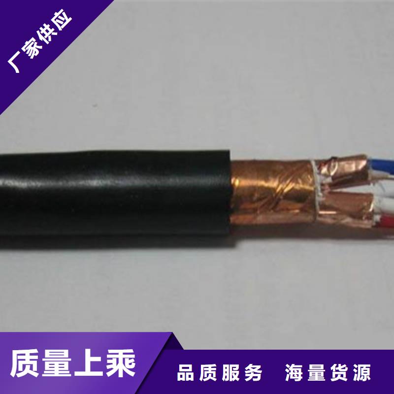 DJFVFP2高温电线源头好货