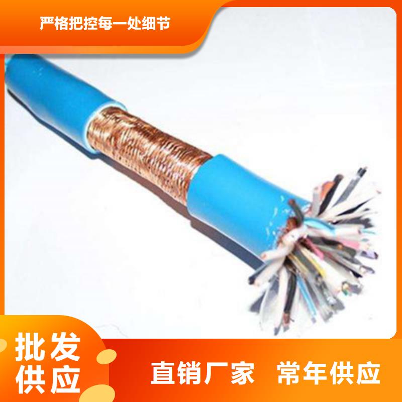 耐高温计算机电缆DJFFP2口碑好