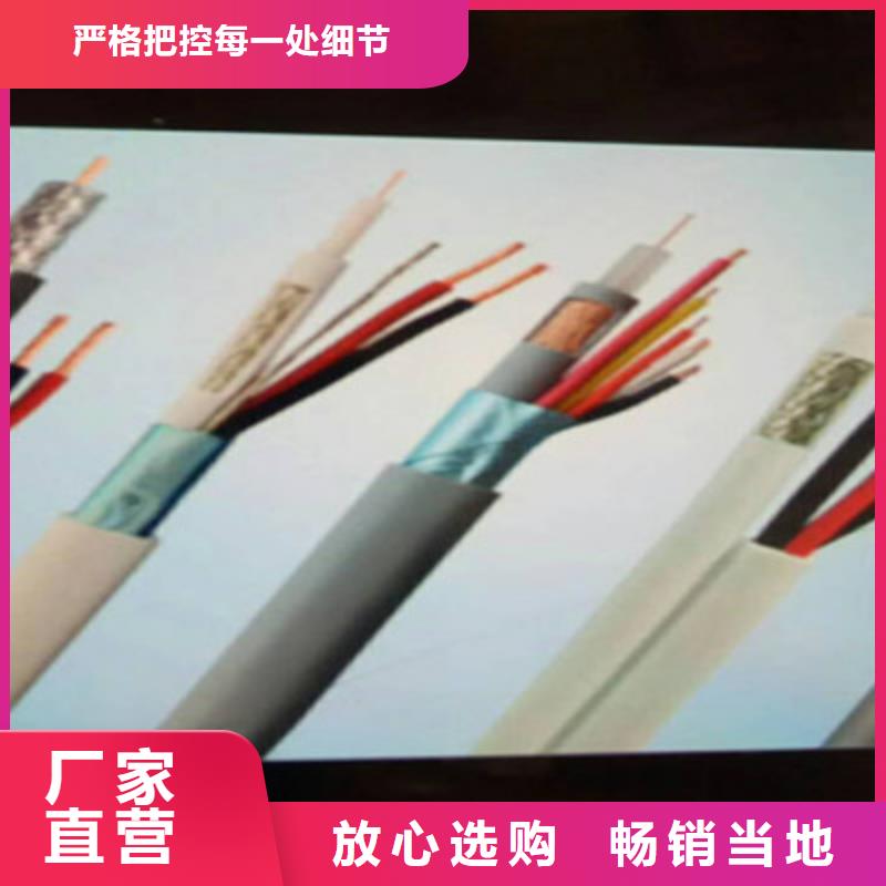 耐高温电缆DJFP2屏蔽型种类齐全