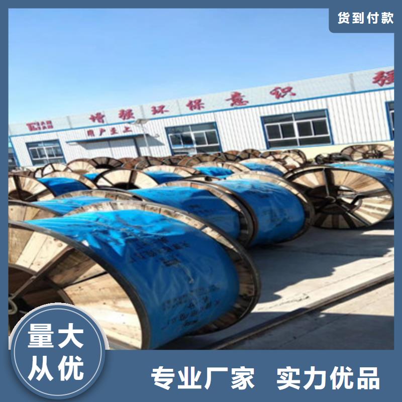 耐高温计算机电缆DJFFP2口碑好