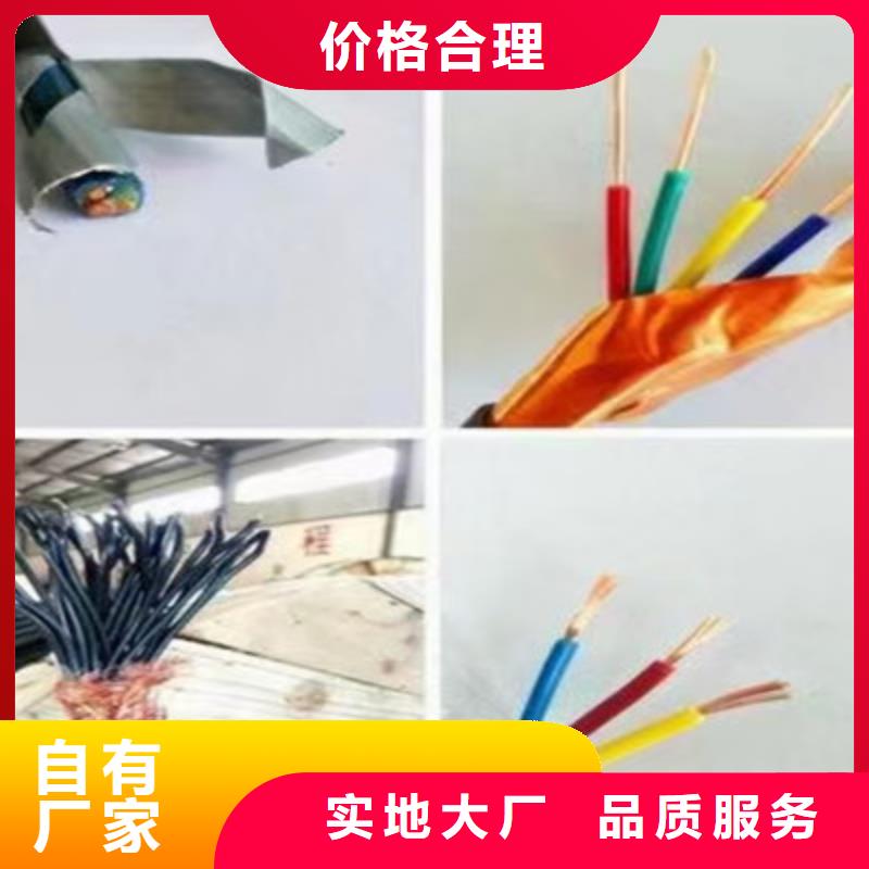 【耐高温电缆】屏蔽电缆用心做品质