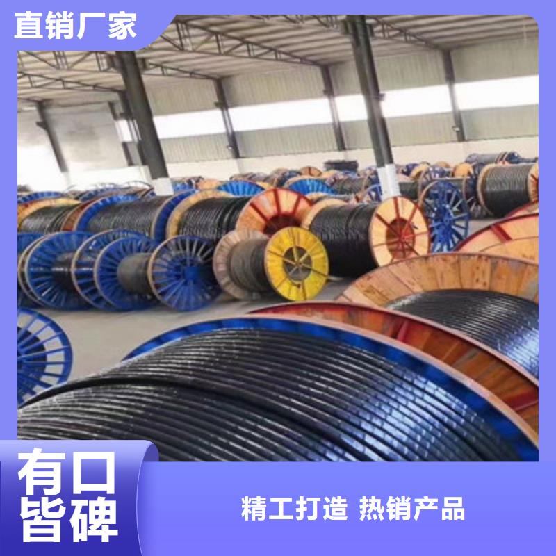 FF46-1耐高温电缆制造厂家