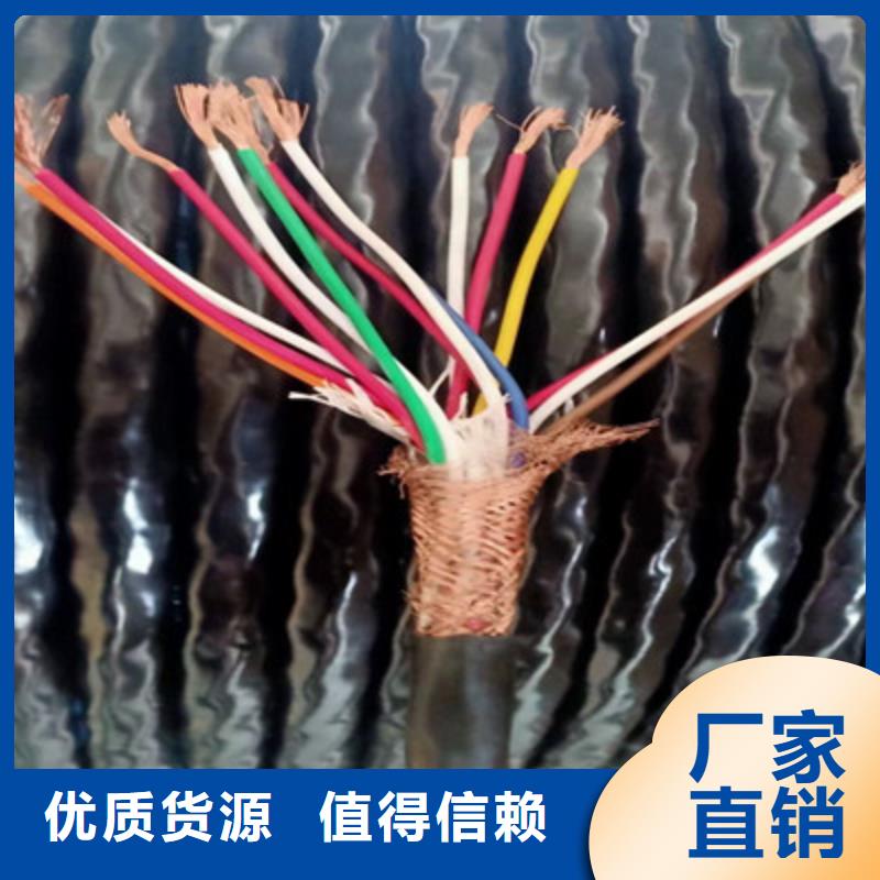 耐高温计算机电缆DJFVFP安装