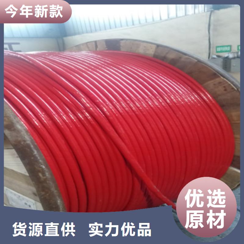 DJFPG计算机耐高温电缆30X2X2.5