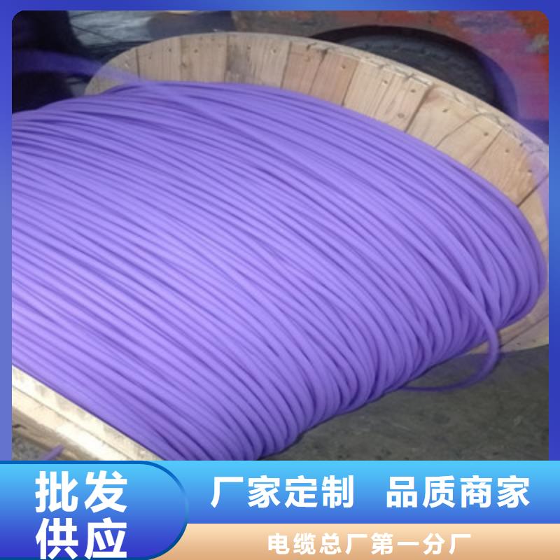 耐高温电缆计算机电缆常年出售