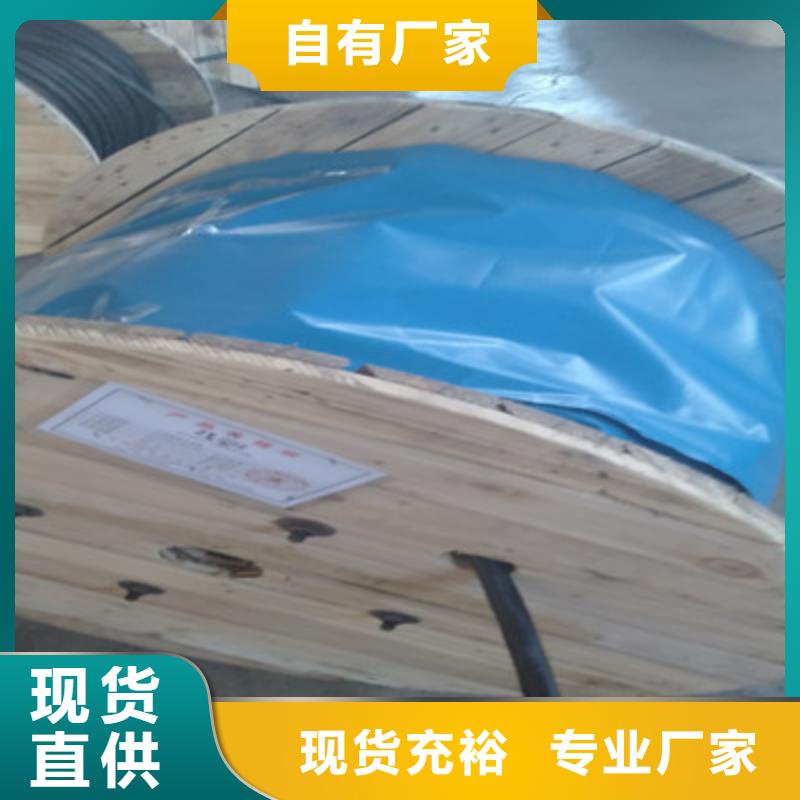耐高温电缆_屏蔽电缆匠心制造