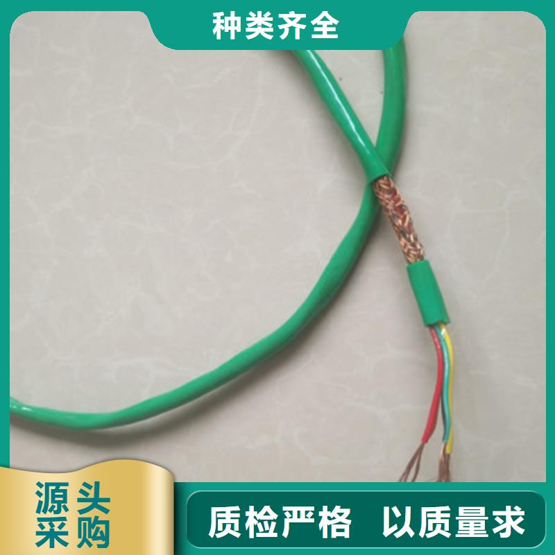DJFP2FR计算机电缆耐高温30X2X2.5