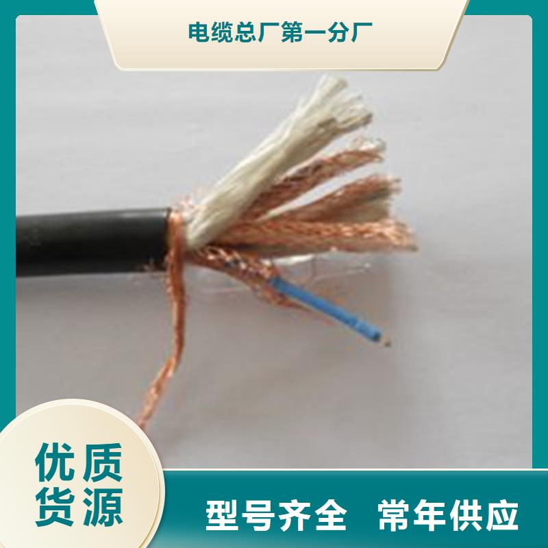 耐高温计算机电缆DJFFP2口碑好