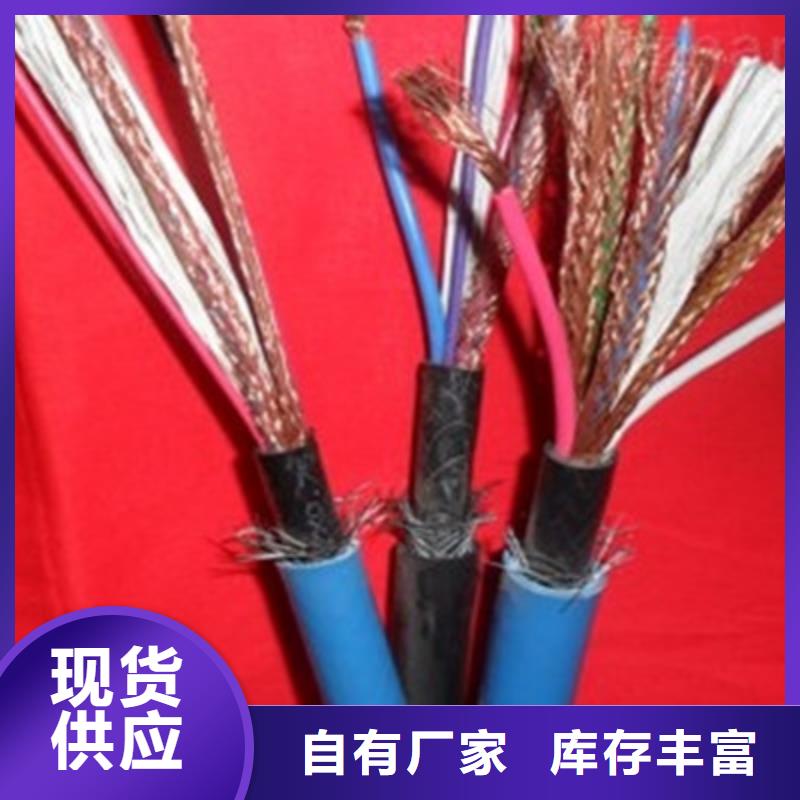 ZR192-KFVP耐高温屏蔽线缆30X2.5