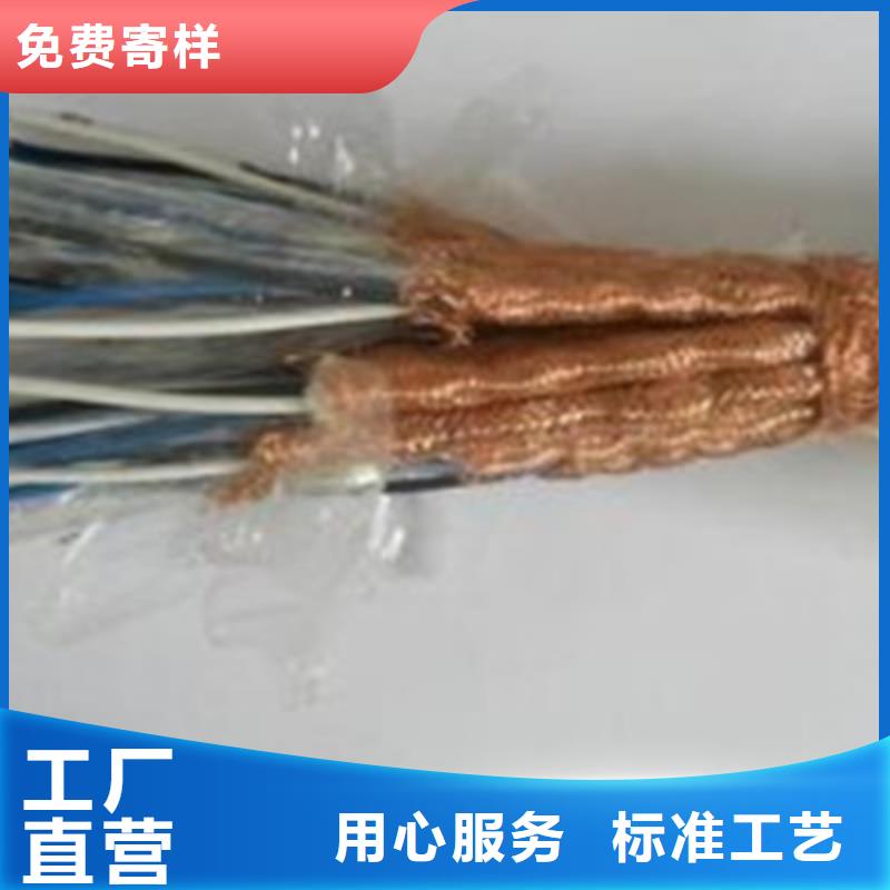 计算机耐高温电缆DJFVP直供厂家