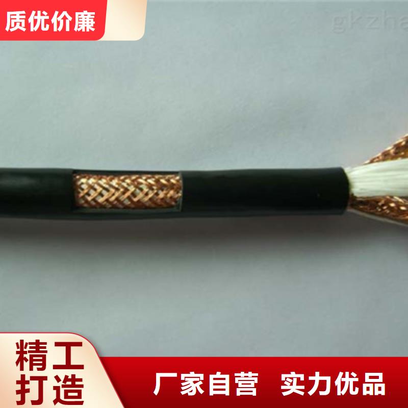 耐高温计算机电缆DJFPF来样定制