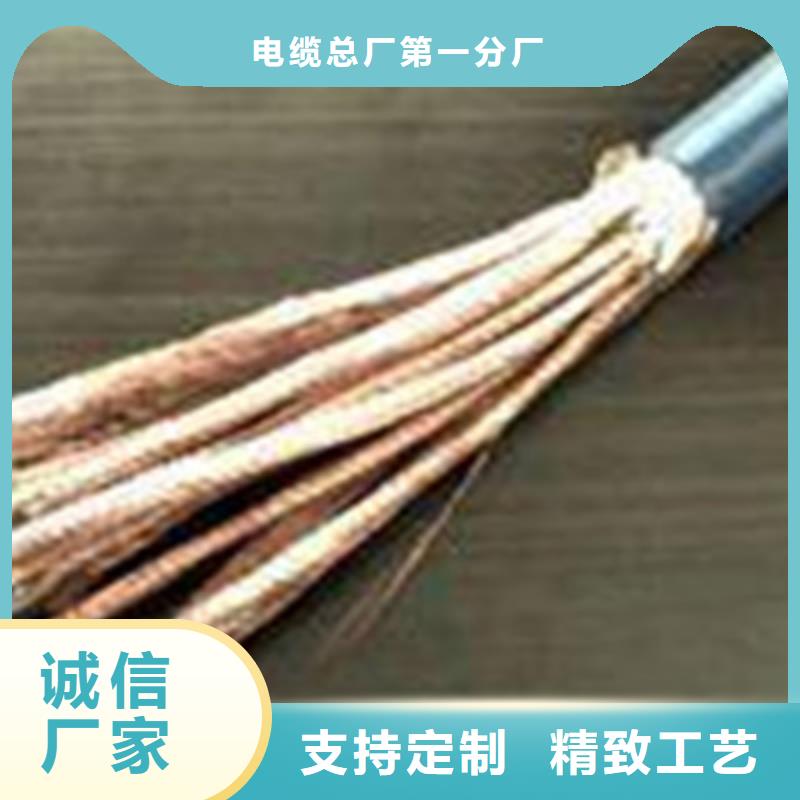 DJFFP3耐高温电缆14X2X2.5