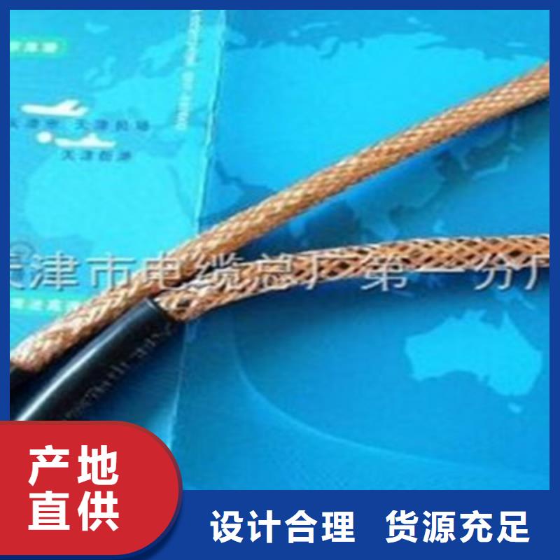DJFPVP耐高温计算机电缆1X2X0.75