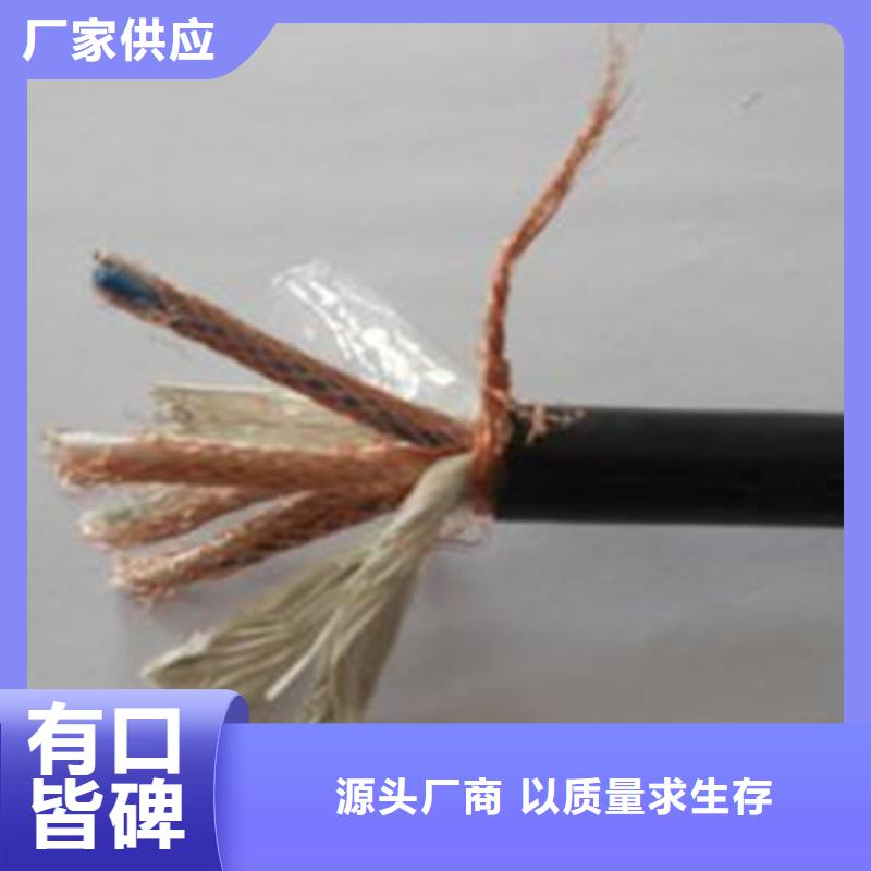 ZR192-KFVP耐高温屏蔽线缆30X2.5