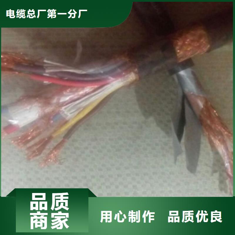 DJFVFP2高温电线源头好货