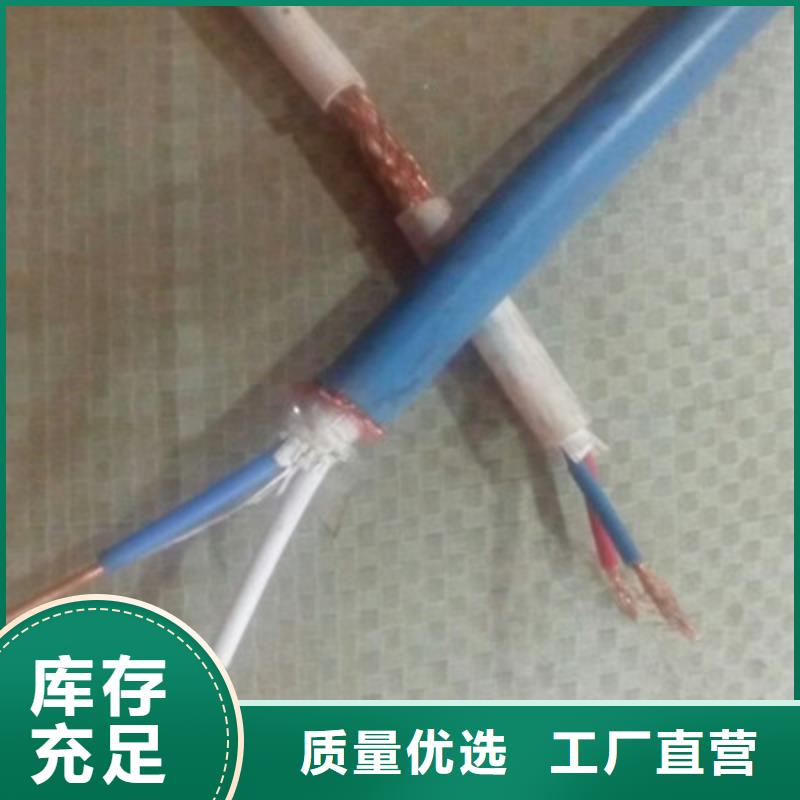耐高温DJFFP2计算机线缆实力老厂