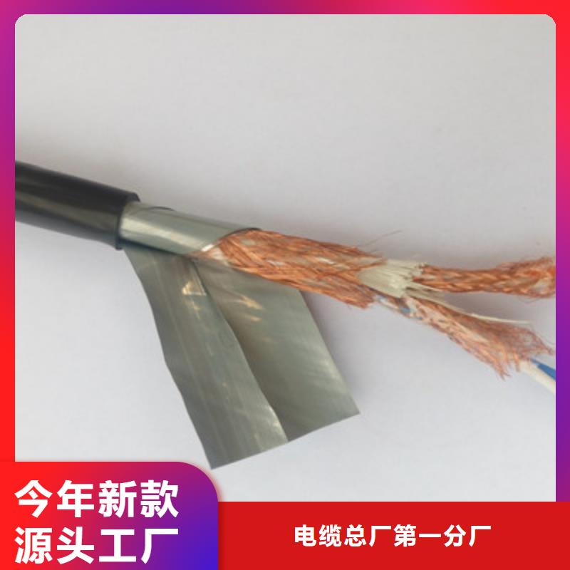 耐高温DJFFP2计算机线缆实力老厂