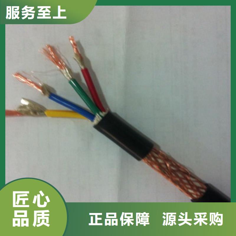 DJFPG计算机耐高温电缆30X2X2.5