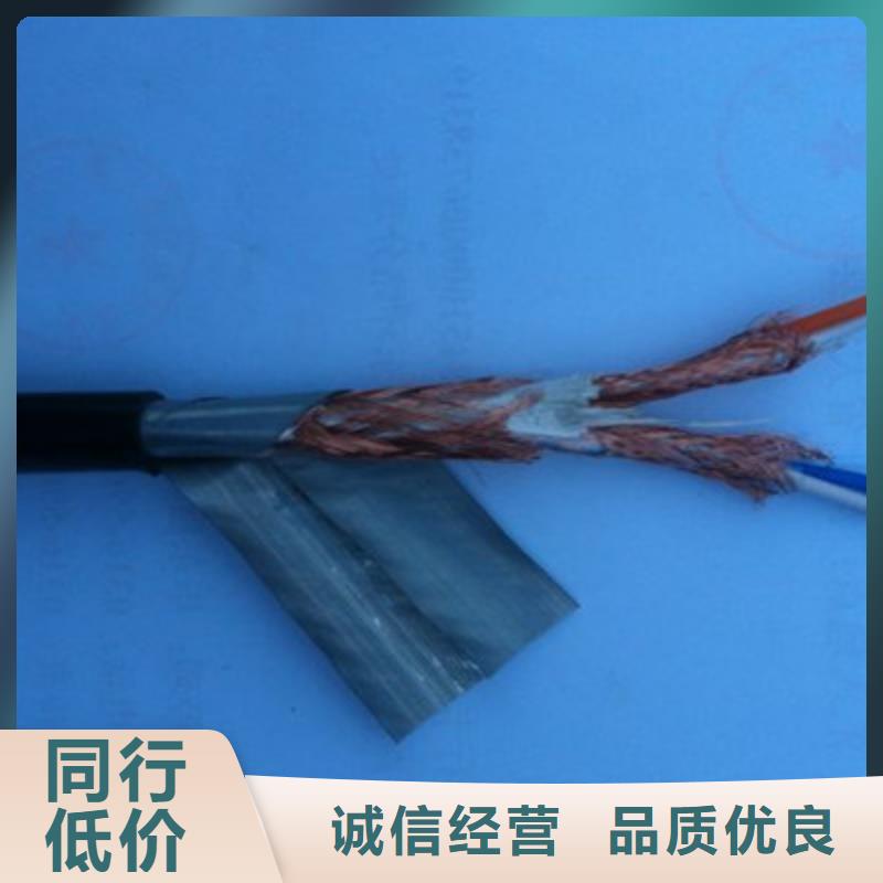 KFF32耐高温铠装控制电缆10X1.5
