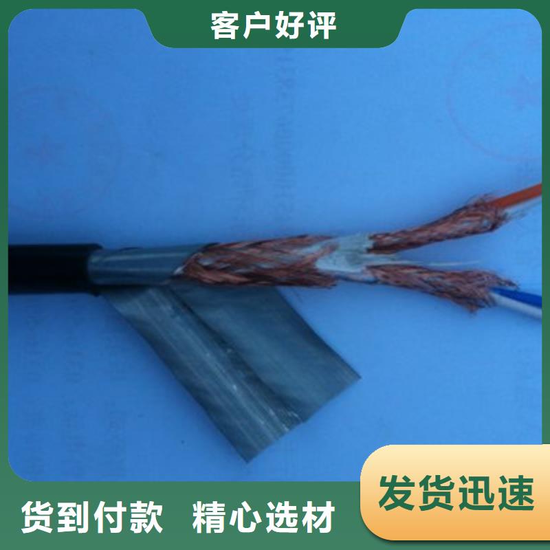 【耐高温电缆】电缆生产厂家多种场景适用