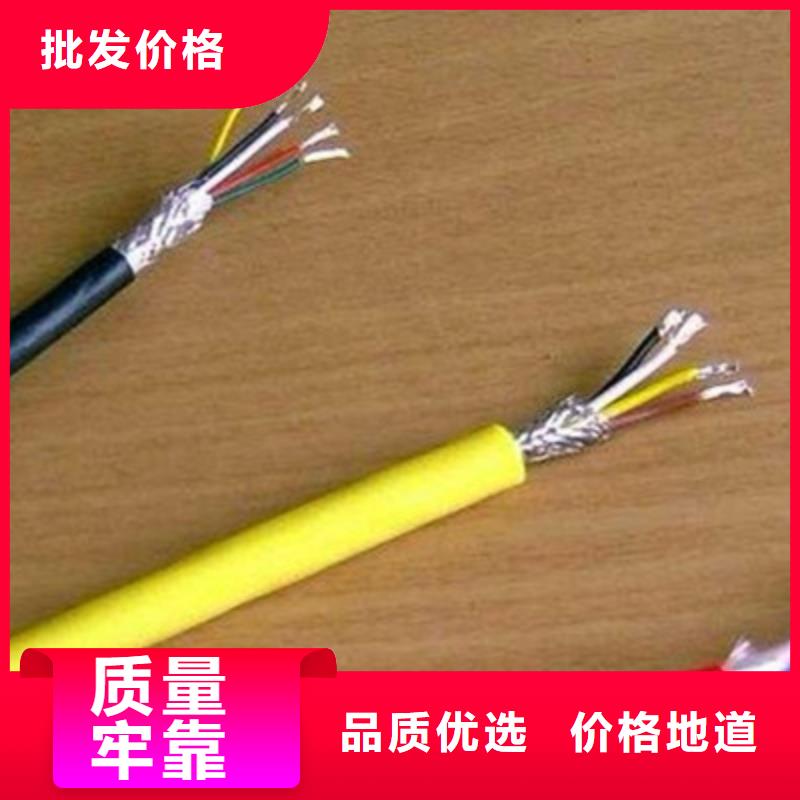 DJFVFP2高温电线源头好货