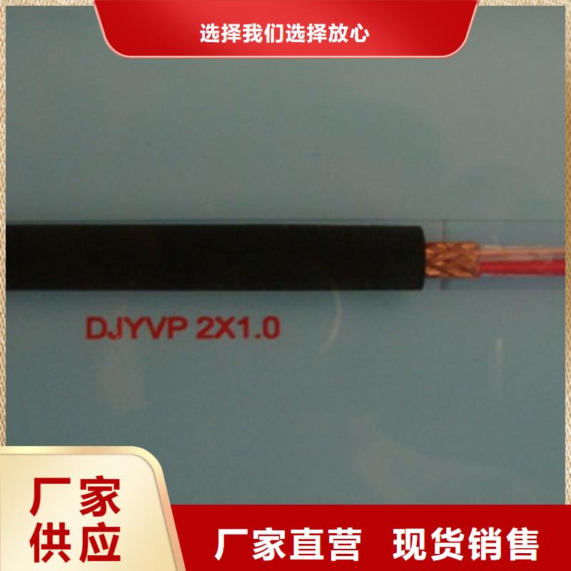 耐高温计算机电缆DJFFP2口碑好