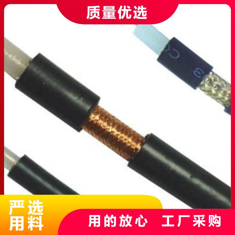 供应SYP视频监控电缆的基地