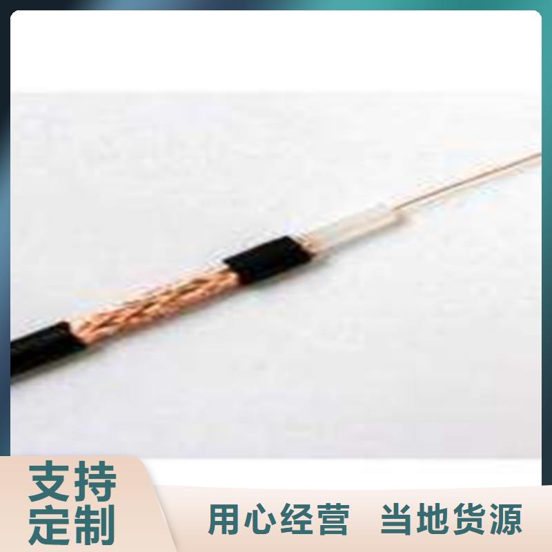 视频监控电缆SYP信息