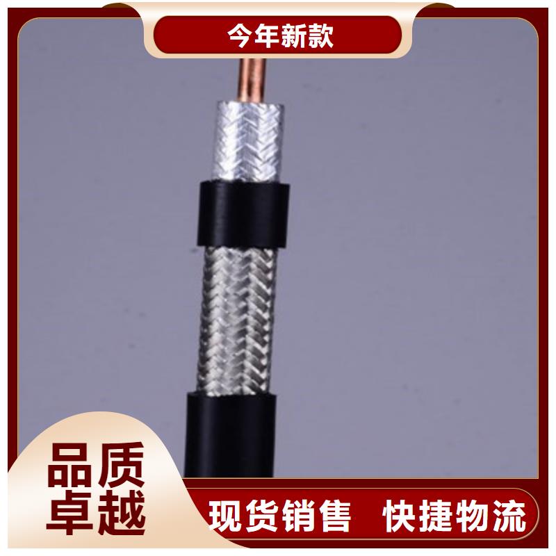 视频监控电缆SYP信息