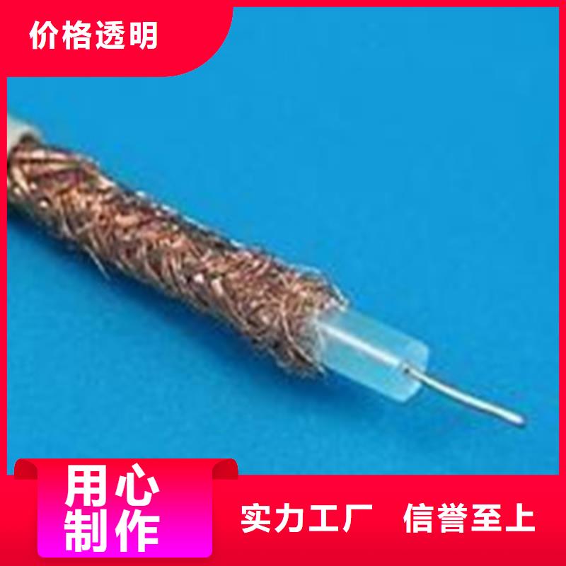 耐高温视频线DLD-SYF销售