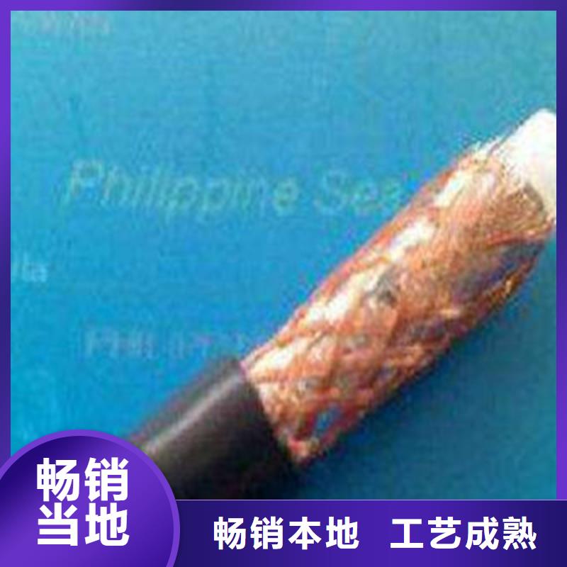 SYP32钢丝铠装射频电缆价格低