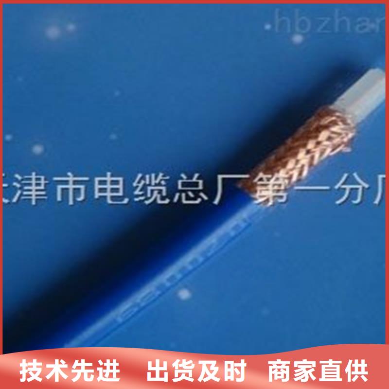 铠装射频同轴电缆SYV23100-7