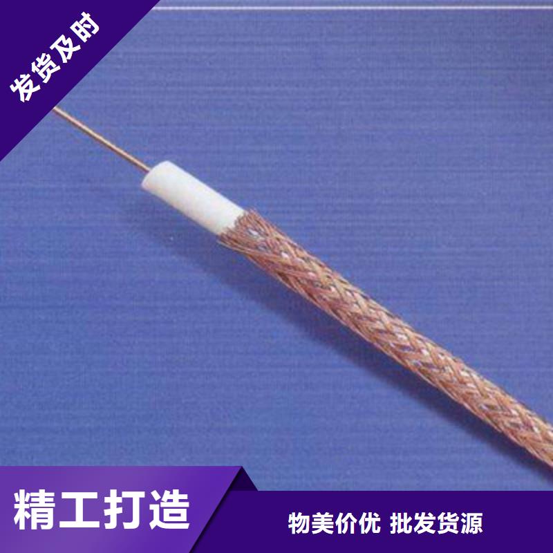 供应SYP视频监控电缆的基地
