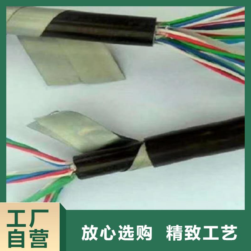 PTYY铁路线缆优质供货厂家