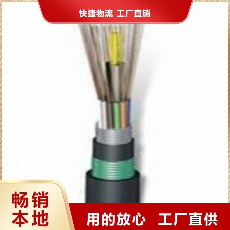 铁路信号电缆通信电缆专注生产制造多年