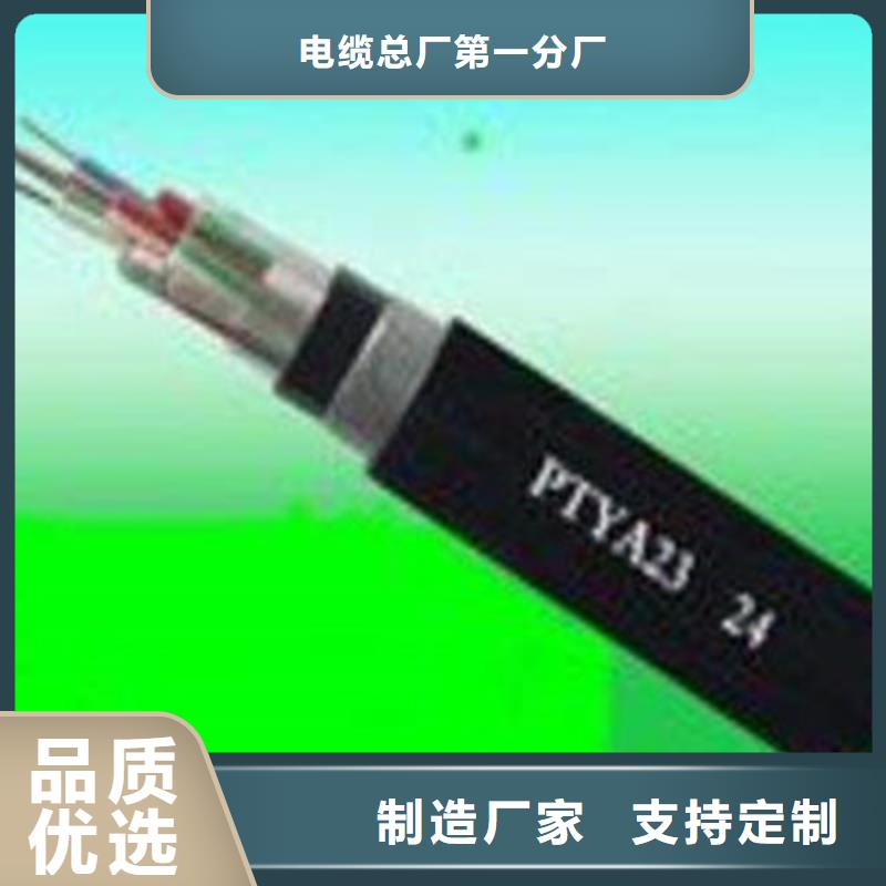 规格齐全的42芯信号电缆铁路供货商